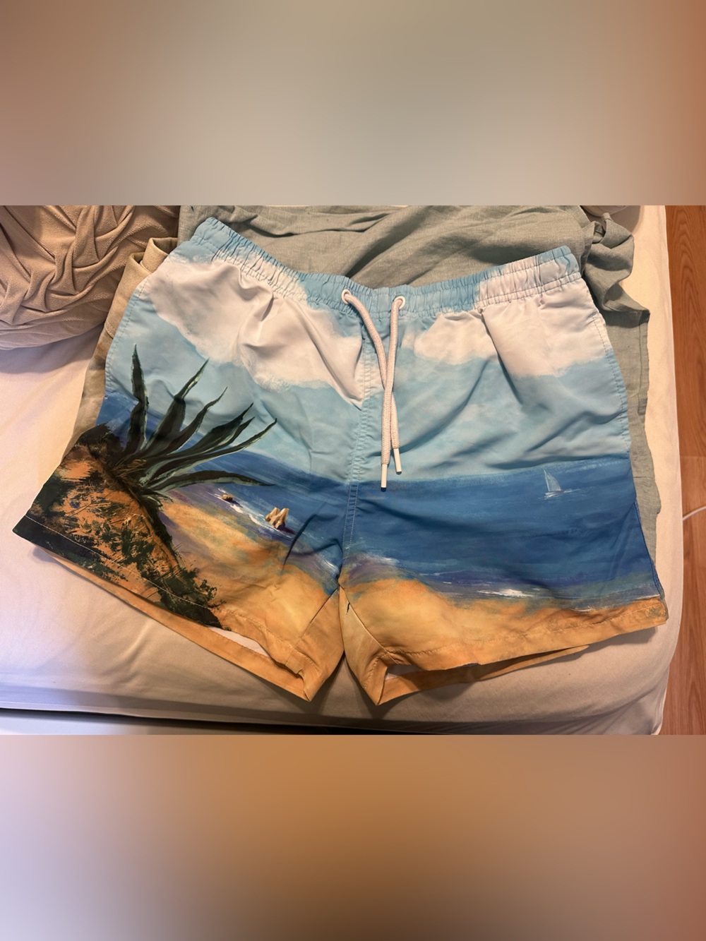 Zara Light Blue & Tan Palm Beach Print Swim Shorts